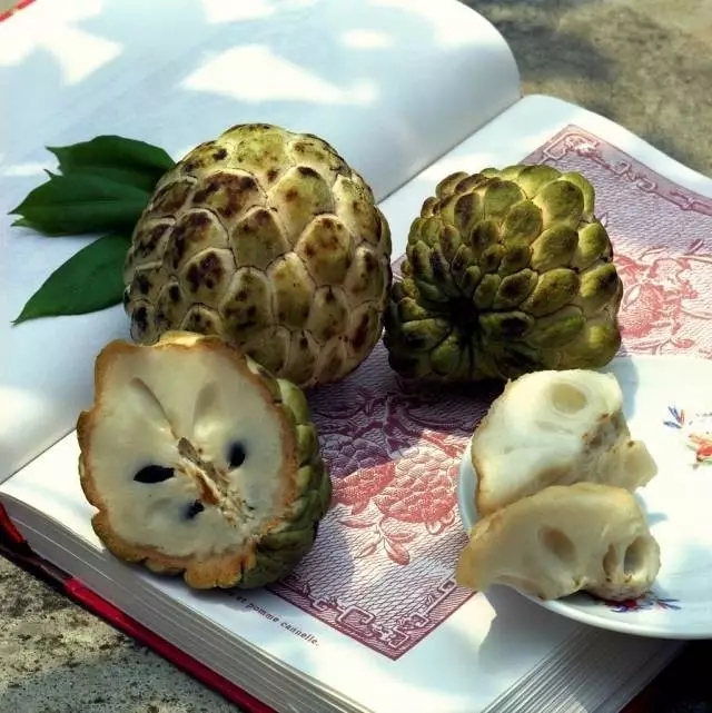 中秋节应节水果：樟林林檎——潮汕特产水果上市了
