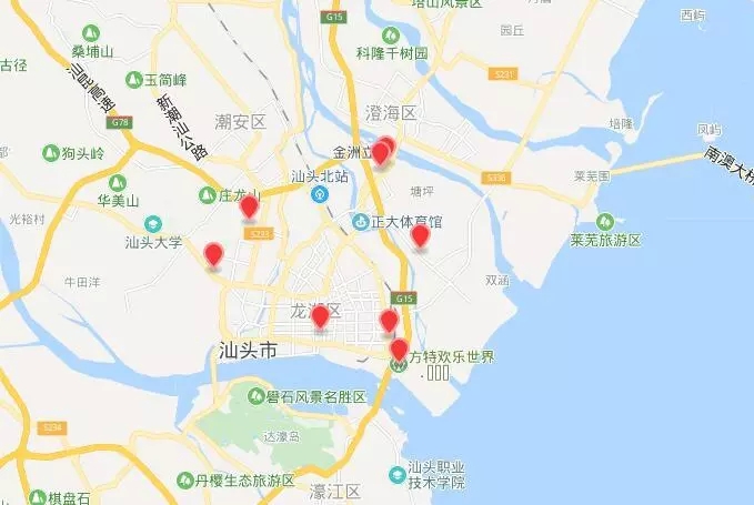 2019年汕头迎春花市的时间、地点