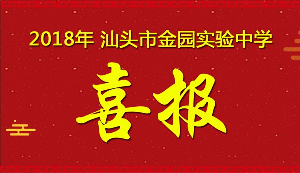 2018年金园实验中学中考成绩