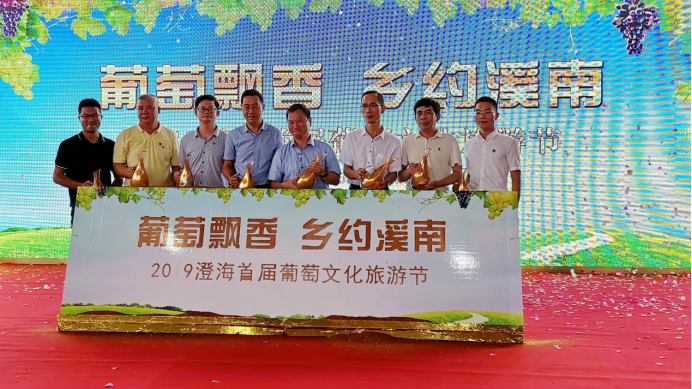 2019澄海首届葡萄文化旅游节在溪南镇金港湾种植基地顺利举办